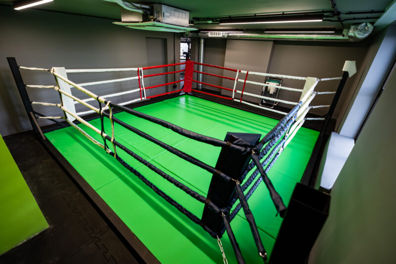 Тренувальна клітка - простір для спарингів та бойових видів спорту