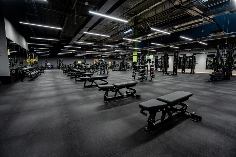 Profesjonalne ławki do wyciskania i hantli ustawione w rzędzie w strefie wolnych ciężarów klubu fitness.