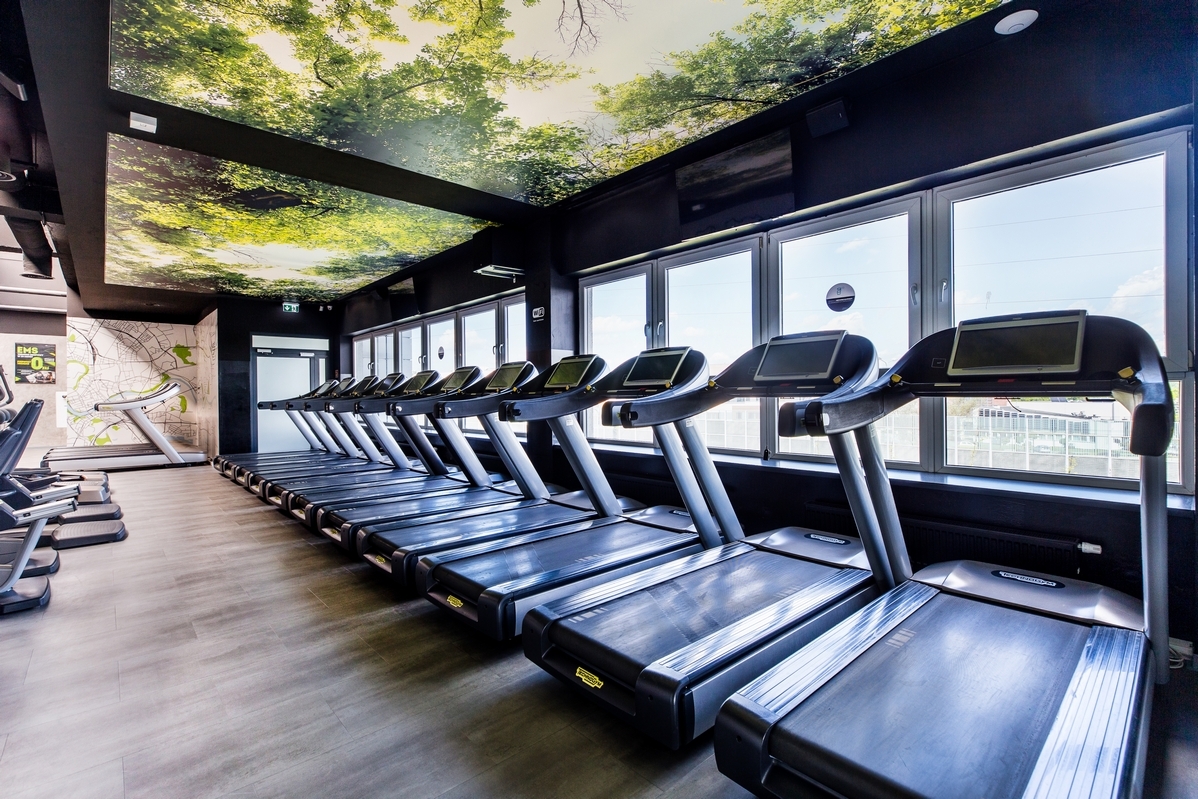 Jasna strefa cardio w Well Fitness Zachodnia w Krakowie z bieżniami Technogym i dekoracyjną grafiką lasu na suficie.