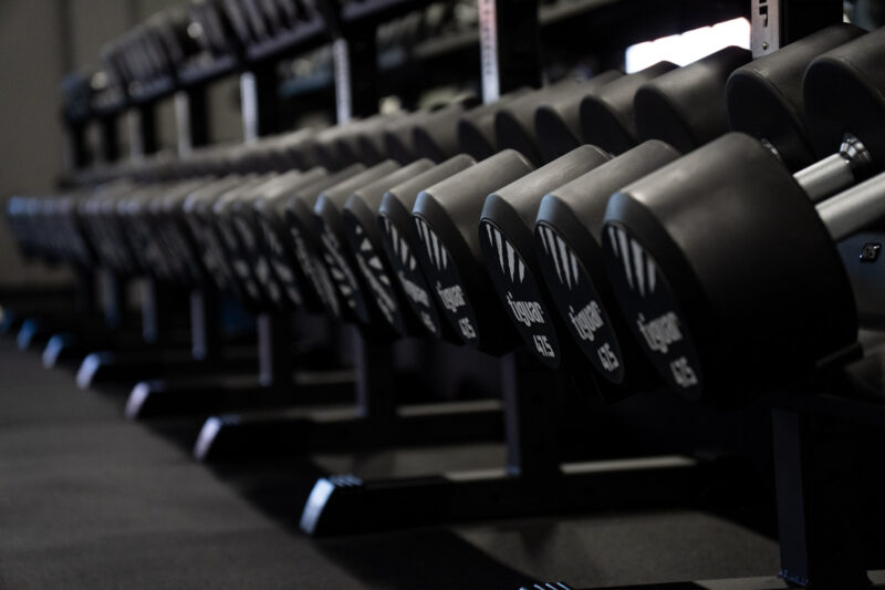 Close-up of the dumbbells in the free weights area; focus set on the details of the knurled griffin and brand logo, highlighting the high quality of the gym equipment.